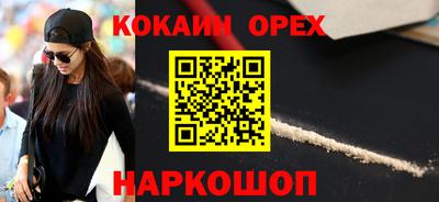 мет Кингисепп