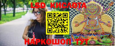 мет Кингисепп
