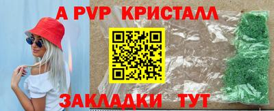 мет Кингисепп